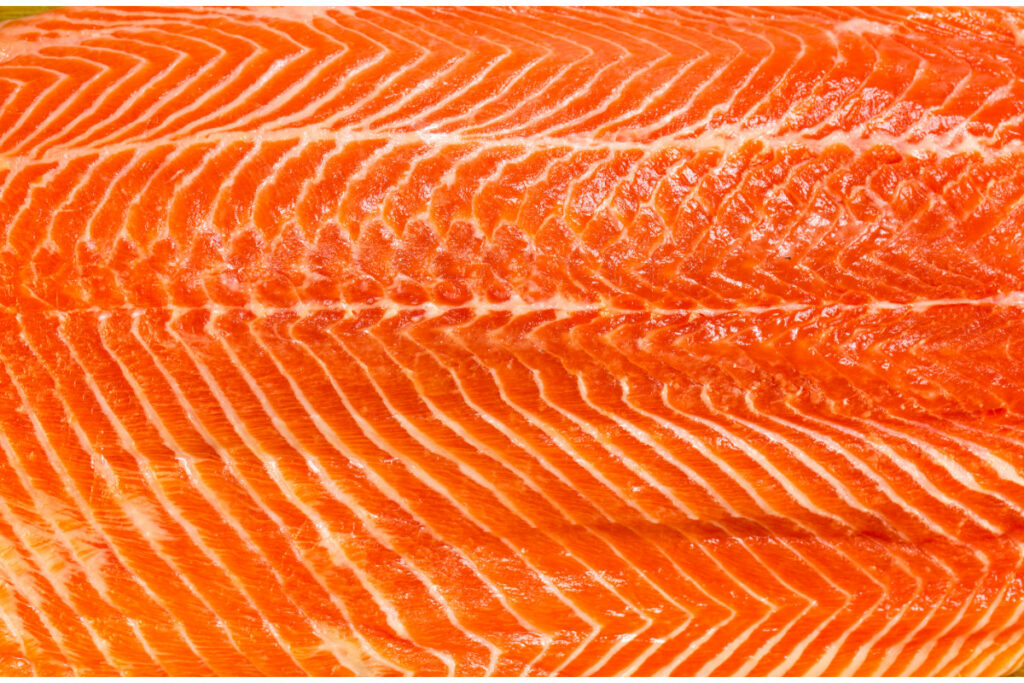 What is the Beloved Salmon Sushi in the World?